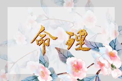 择吉黄历,择吉日查询,择吉皇历